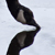 Goose